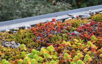 the cost of Llechfaen green roof installation