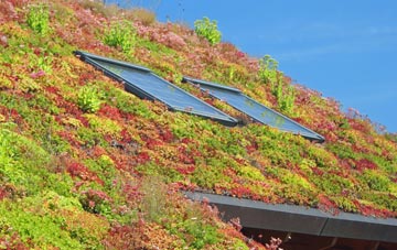 Llechfaen living roof systems