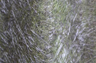 Llechfaen fibreglass roof work